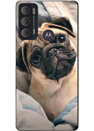 Силіконовий чохол бампер для motorola moto g60 з малюнком фото мопс