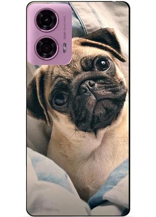 Силіконовий чохол бампер для motorola moto g24 power з малюнком фото мопс