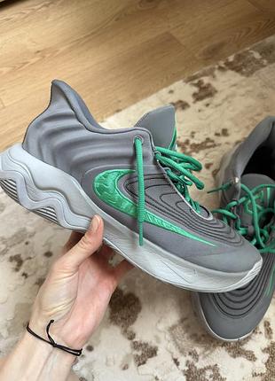 Баскетбольні красовки nike giannis