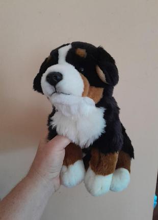 Іграшка колекційна пес щеня бернського зенненхунда (bernese mountain dog).