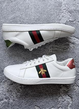 Кеди cucci