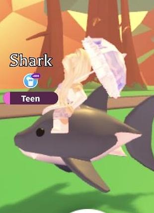 Акула роблокс адопт мі shark roblox adopt me легендарний пет райд роблокс адопт ми