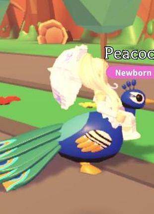 Павич павлін роблокс адопт мі peacock roblox adopt me легендарний рідкісний пет павлин роблокс адопт ми редкий легендарный райд