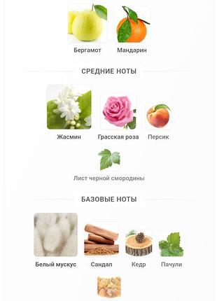 Распил парфюм 6