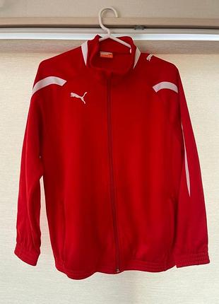 Олимпийка puma