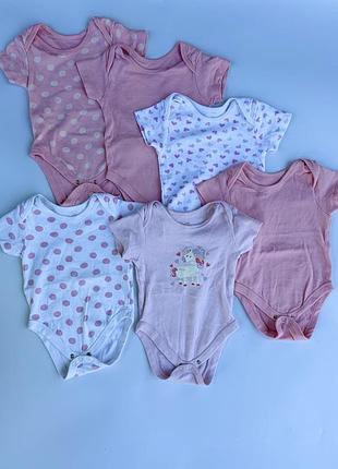 Великий набір боді pure baby для дівчинки