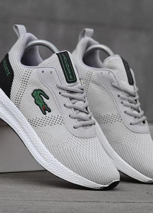 Кросівки чоловічі lacoste court drive fly сірі нейлонові кроси дихаючі із сіткою на весну літо лакост корт драйв флай