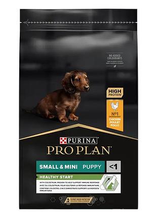 Сухий корм pro plan small & mini puppy <1 healthy start для цуценят малих порід, з куркою, 7 кг