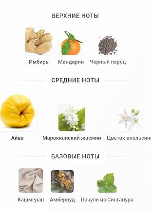 Распылив парфюм pas сe soir bdk parfums. 6