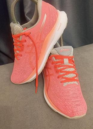 Кросівки asics evo ride