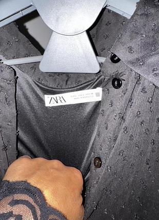 Плаття zara devided 8