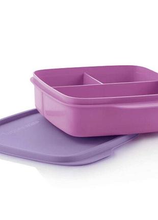 Ланчбокс школяр 550 мл, з роздільником tupperware