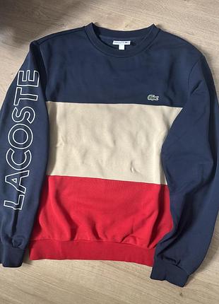 Світшот lacoste розмір м