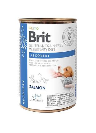Вологий корм brit grain free veterinary diets recovery для дорослих собак та котів для відновлення після хвороби чи операції