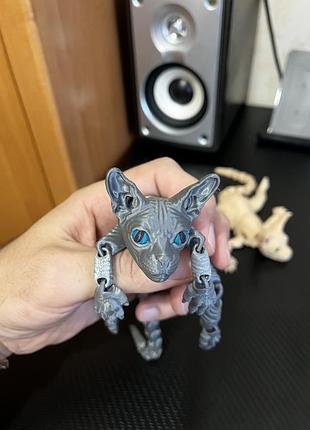Котик сфинкс