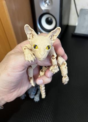 Котик сфинкс 2