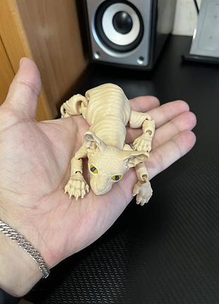 Котик сфинкс 3