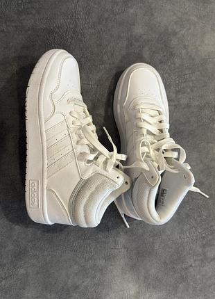 Нові хайтопи adidas