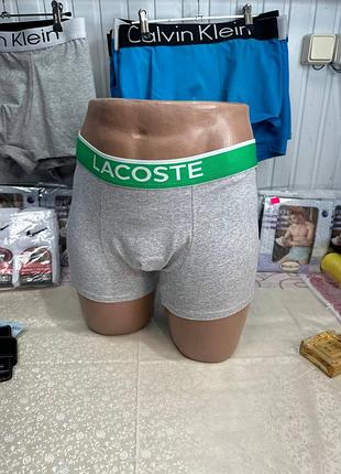 Чоловічі труси lacoste m-4xl