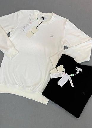 Брендовый мужской свитшот lacoste
