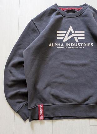Світшот alpha big logo 3
