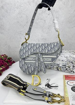Dior saddle grey
