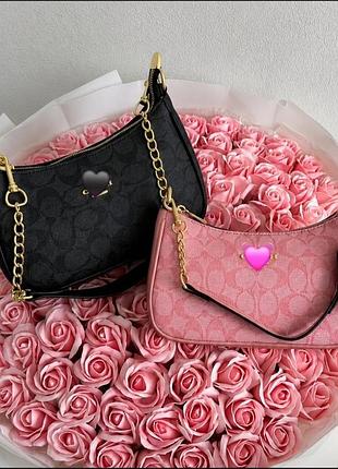 😻кохання з першого погляду😻 жіноча сумочка coach teri