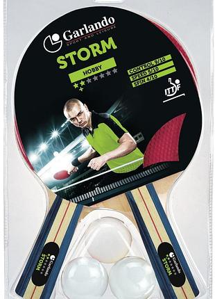Набір для настільного тенісу garlando storm (2c4-5)