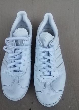 Кросівки  adidas