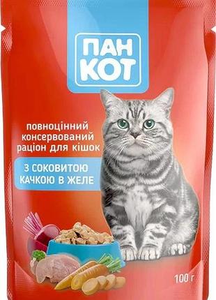 Вологий корм пан кот з соковитою качкою в желе, пауч 24 шт