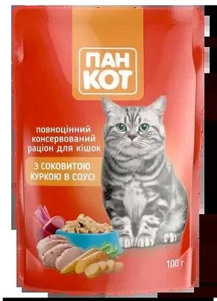 Вологий корм пан кот з соковитою куркою у соусі, пауч 24 шт