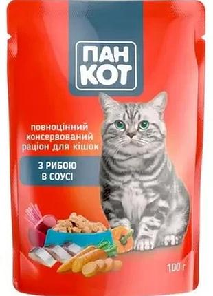 Вологий корм пан кот з рибою у соусі, пауч 24 шт