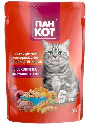 Вологий корм пан кот з соковитою яловичиною у соусі, пауч 24 шт