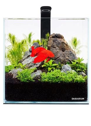 Акваріум daquarium із надпрозорого скла, комплект pico set 5 літрів