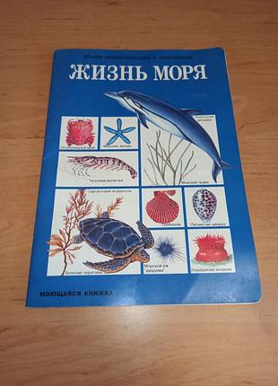 Життя моря міні-енциклопедія у картинках. книга, що миється