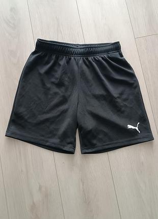 Шорты puma 2