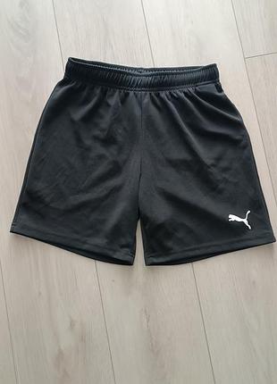Шорты puma