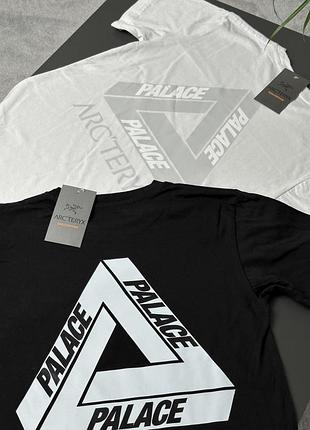 Футболка arcteryx x palace