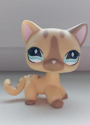 Лпс літл пет шоп петшоп фигурка кошка кошка стоячка кот фигурки игрушки животных lps littlest pet shop petshop pet shops petshops петшопы пет шопы lp