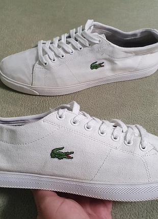 Мужские летние кеды lacoste