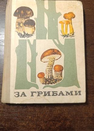 1974 тойбис. за грибами