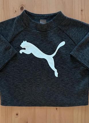 Puma evostripe оригинал футболка ,кофта,пума,свитшот,худи,світшот,мастерка,футболочка пума