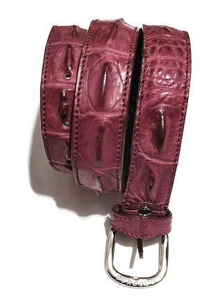 Porosus crocodile leather ремень из кожи гребнистого крокодила /15018/