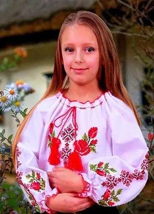 Вишиванка для дівчинки маки червоні