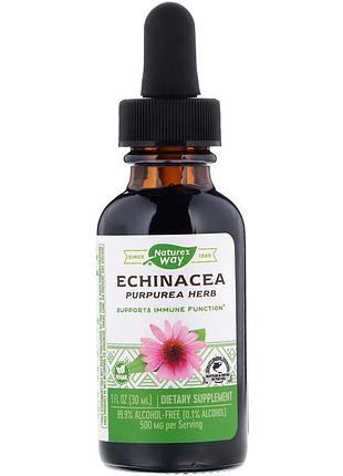 Эхинацея, echinacea, nature's way, 500 мг, 30 мл