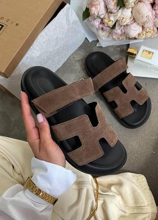 Brown 38