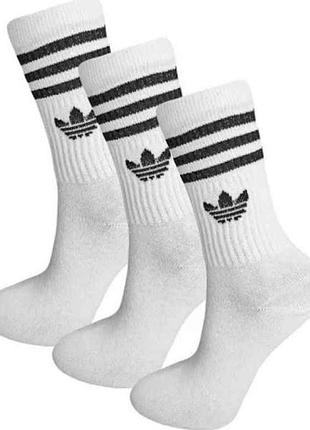 Шкарпетки 704 ws висока гумка в смужку adidas р.36-40 12пар білий тм житомир