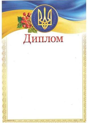 Диплом no дм-031 а4 тм люкс колор