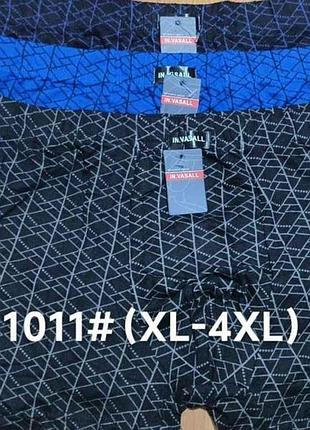 Боксери бамбук арт.1011 2шт р.3xl тм vasall
