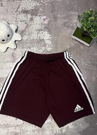 Жіночі спортивні шорти adidas,розмір s,бордового кольору,ціна 450грн